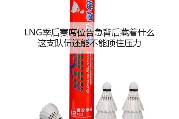 LNG季后赛席位告急背后藏着什么 这支队伍还能不能顶住压力 - kaiyun